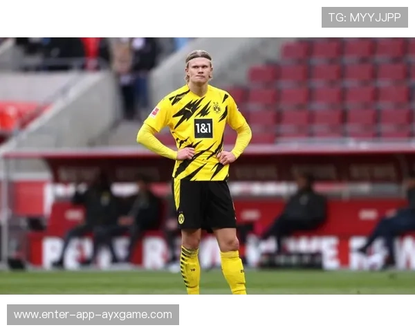 多特哈兰德禁区内强力推射让对手防不胜防